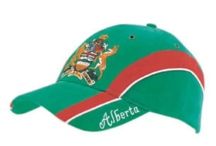 Picture of Brushed Heavy Cotton Cap with Embroidered Peak Insert